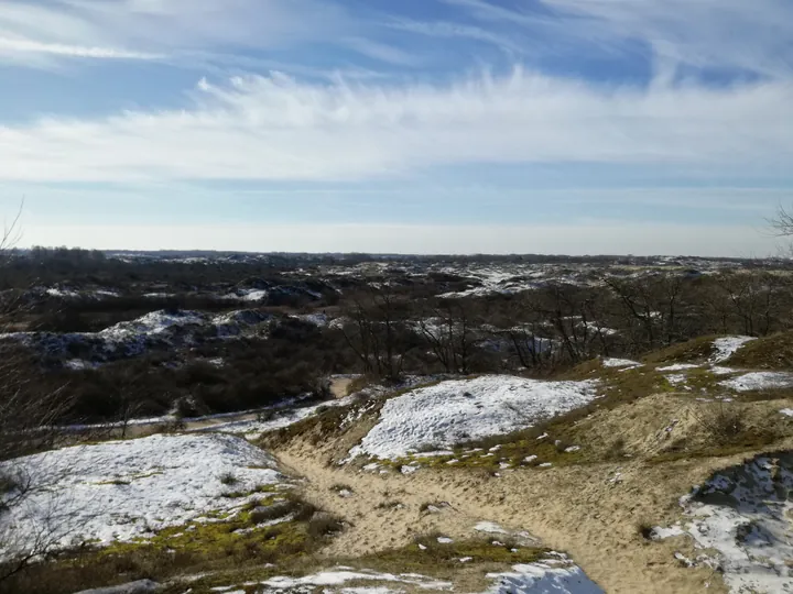 De Panne in de sneeuw (België)